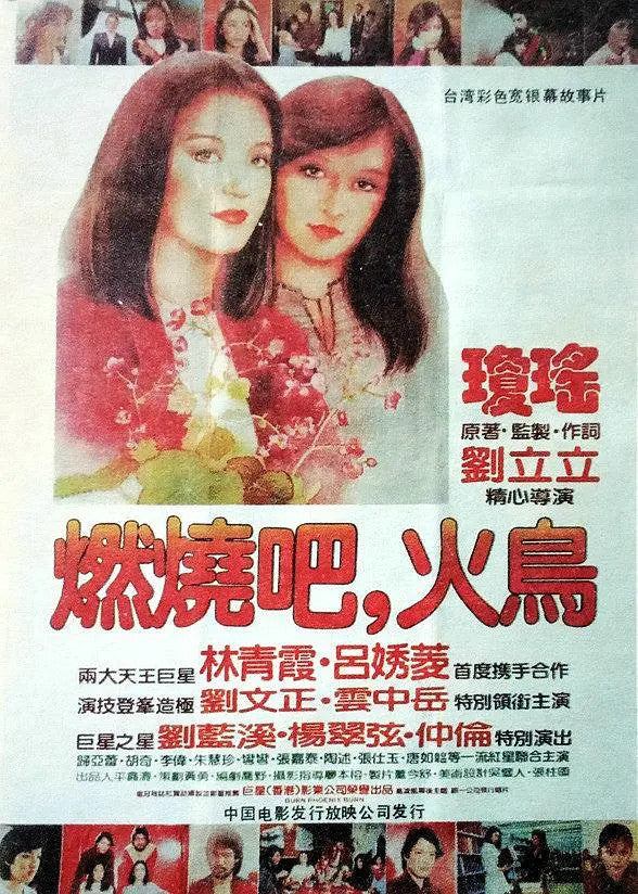 Chinese Burn Phoenix Burn Mandarin Brigitte Lin/Lv Xiuling DVD