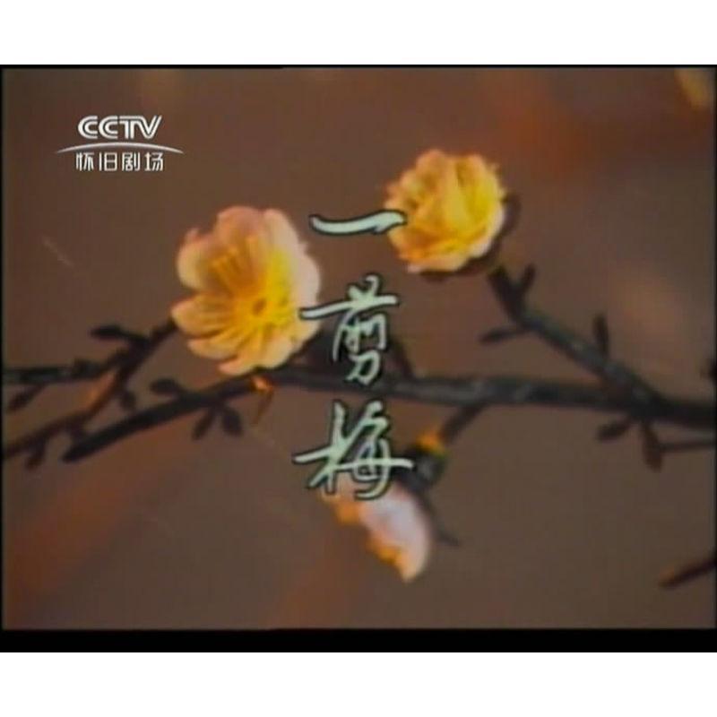 Chinese Yi Jian Mei 一剪梅 5DVD Kou Shixun/Shen Hairong/Li Lie 25Episodes Boxed