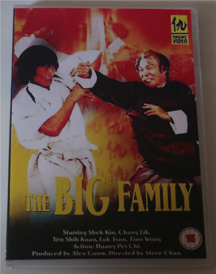 Chinese The Big Family Shi Jian/Chen Lili Mandarin English Subtitle DVD