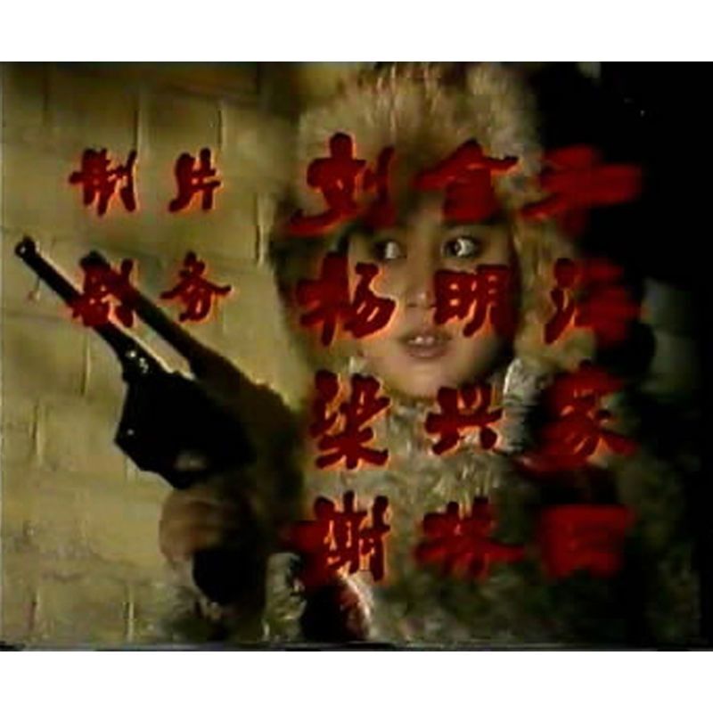 Chinese Shuang Qiang Tuo Long 双枪驼龙 2DVD Li Yunjuan/Zhang Jibo 4Episodes Boxed