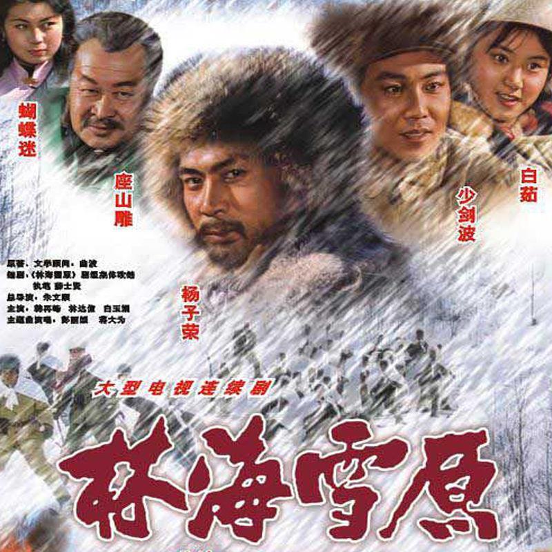 Chinese Lin Hai Xue Yuan 林海雪原‎ 2DVD Lin Daxin/Han Zaifeng 10Episodes Boxed