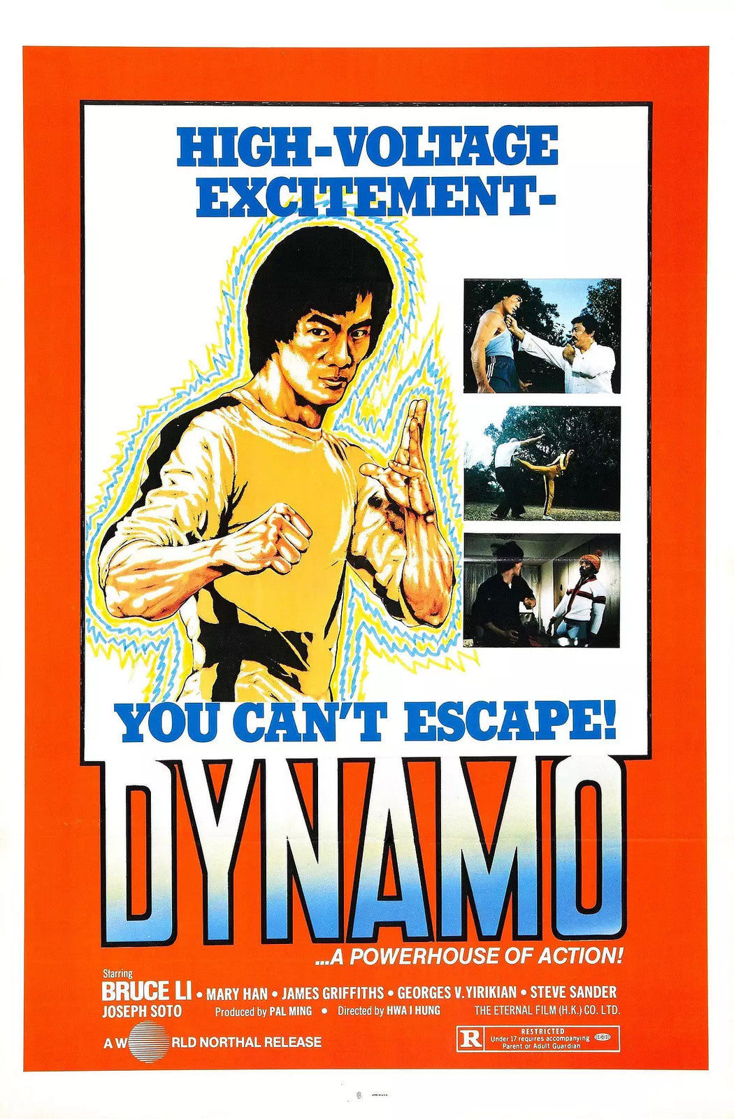 Chinese Dynamo 不择手段 Chung Tao Ho/Mary Hon No Subtitles Mandarin DVD