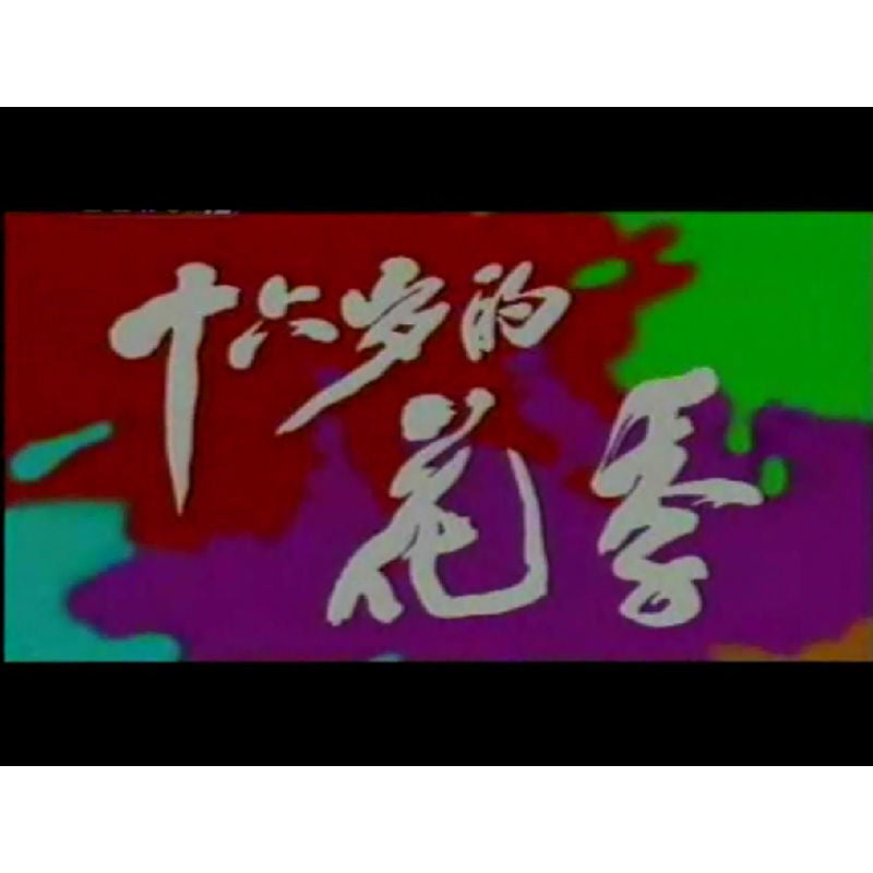 Chinese Shi Liu Sui De Hua Ji 十六岁的花季 4DVD Chi Huaqiong 12Episodes Boxed