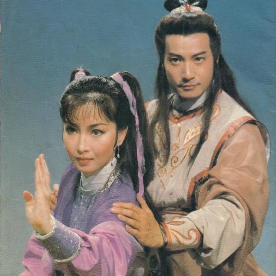 Chinese Shao Lin Xiao Fu Xing 少林小福星 5DVD Vietnamese Chinese Subtitle Boxed