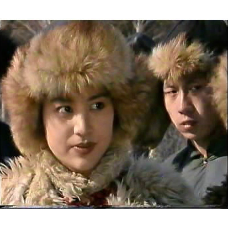 Chinese Shuang Qiang Tuo Long 双枪驼龙 2DVD Li Yunjuan/Zhang Jibo 4Episodes Boxed