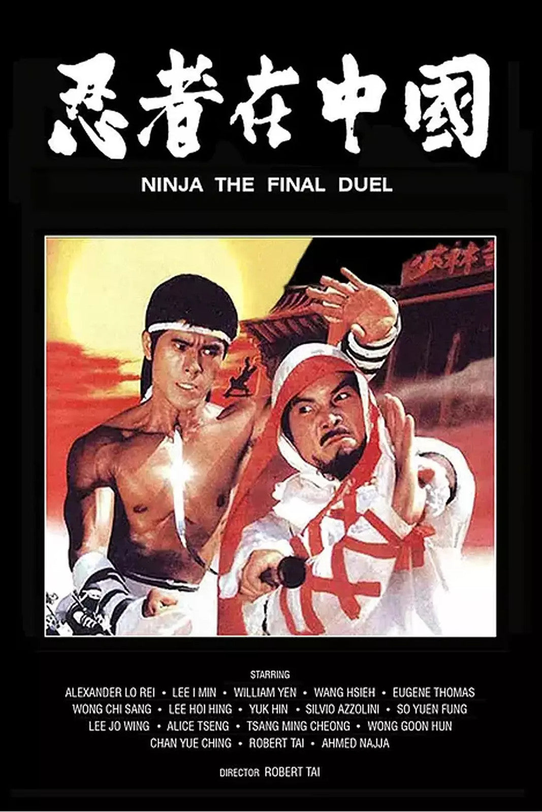 Chinese Ninja The Final Duel 忍者在中国 Luo Rui/Wang Xia No Subtitles Mandarin DVD