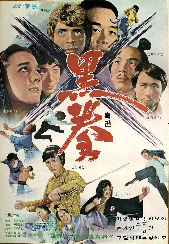Chinese When Taekwondo Strikes Sammo Hung Chinese Subtitle Mandarin DVD