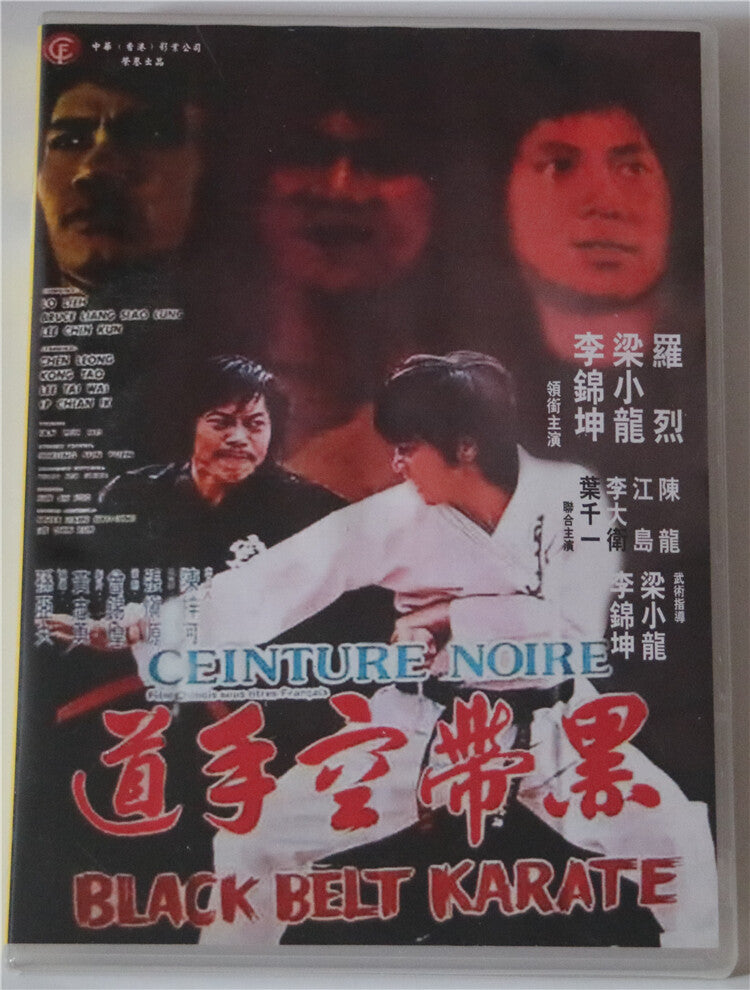 Chinese Black Belt Karate Bruce Leung/Li Jinkun Mandarin Chinese Subtitle DVD
