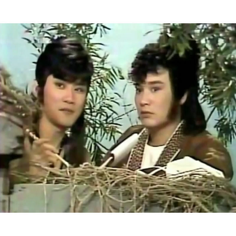 Chinese Shen Zhou Xia Lv 神州侠侣 9DVD Meng Fei/Pan Yingzi Mandarin 34Episodes Boxed