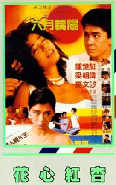 Fascinating Affairs Cherie Chung/Tony Leung Chiu-Wai DVD Cantonese Language