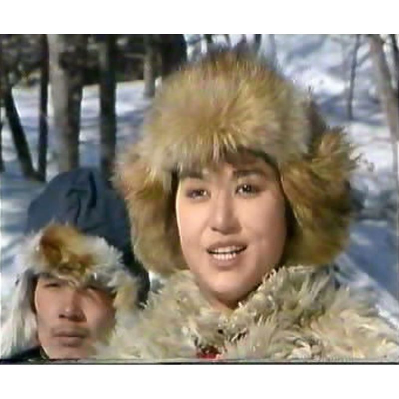 Chinese Shuang Qiang Tuo Long 双枪驼龙 2DVD Li Yunjuan/Zhang Jibo 4Episodes Boxed