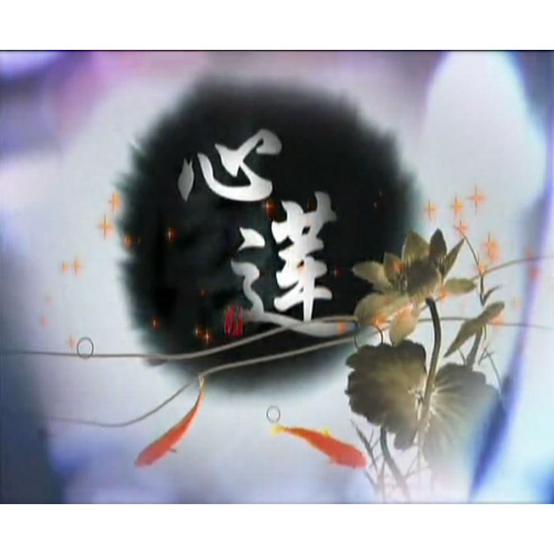 Chinese Jing Shi Xi Fu 心莲 6DVD Zhang Yuhuan/Yang Qinghuang 43Episodes Boxed