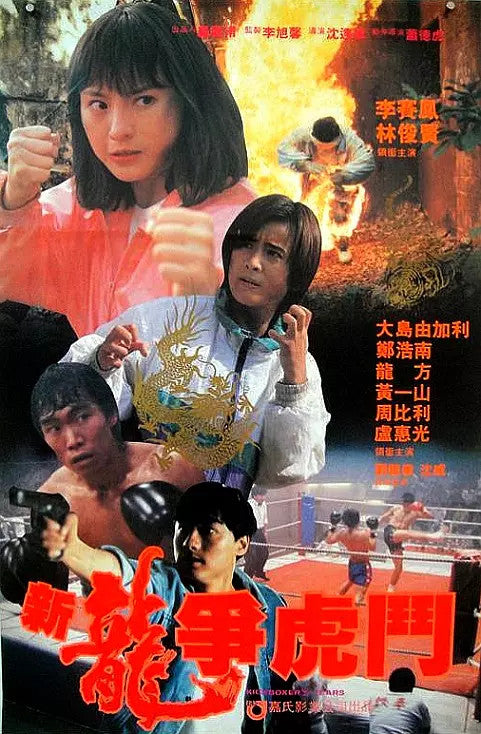 Chinese Kick Boxer's Tears Chinese Cantonese Language HD DVD Moon Lee