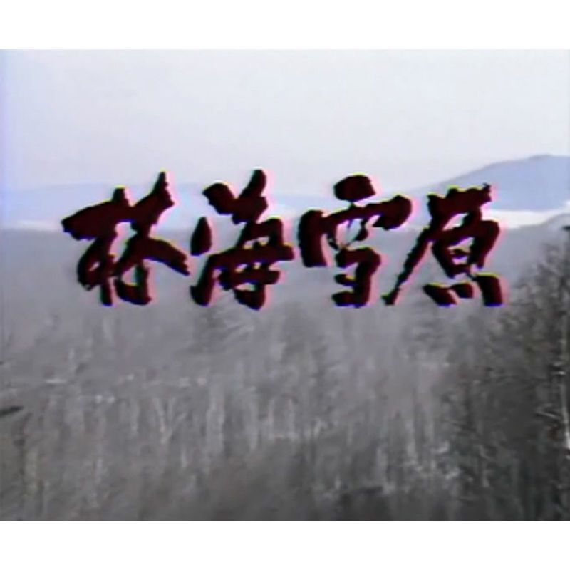 Chinese Lin Hai Xue Yuan 林海雪原‎ 2DVD Lin Daxin/Han Zaifeng 10Episodes Boxed