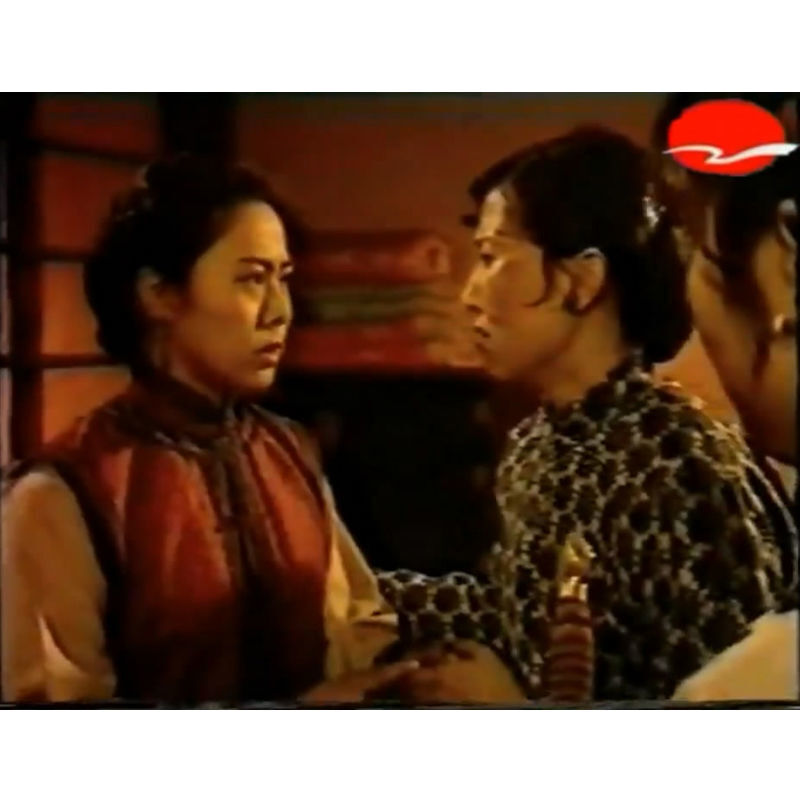 Chinese Kang De Di Yi Bao Piao Chuan Qi 康德第一保镖传奇 4DVD Zhang Jibo Boxed